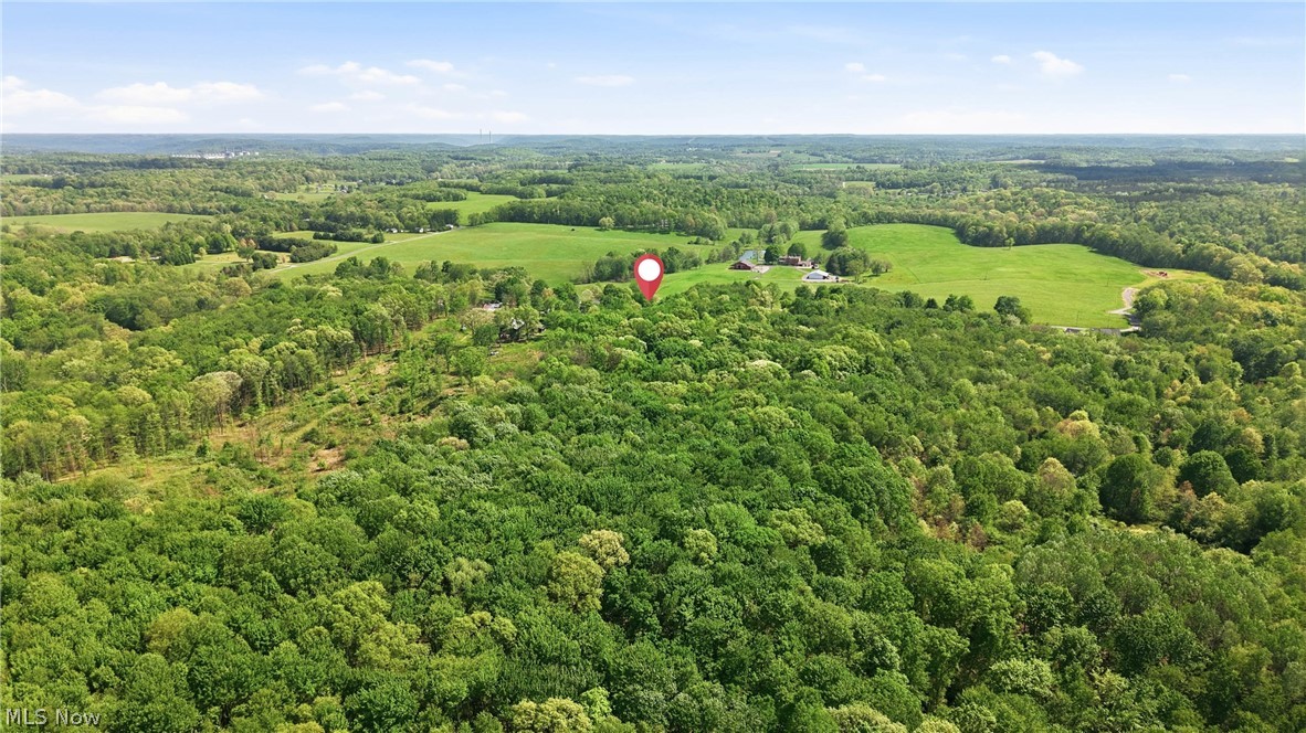 41534 Alderlick Road Wellsville, OH 43968 - Photo 15 of 48
