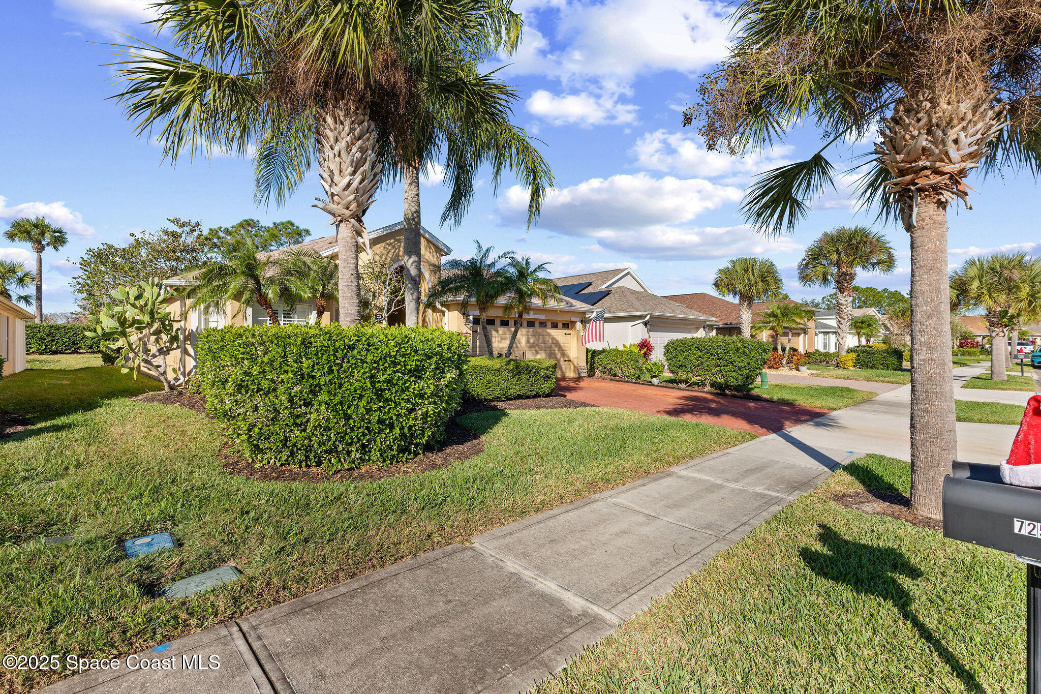 7248 Broderick Drive Melbourne, FL 32940 - Photo 31 of 51 a view of a yard with palm trees