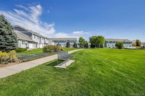a view of a park with slide
