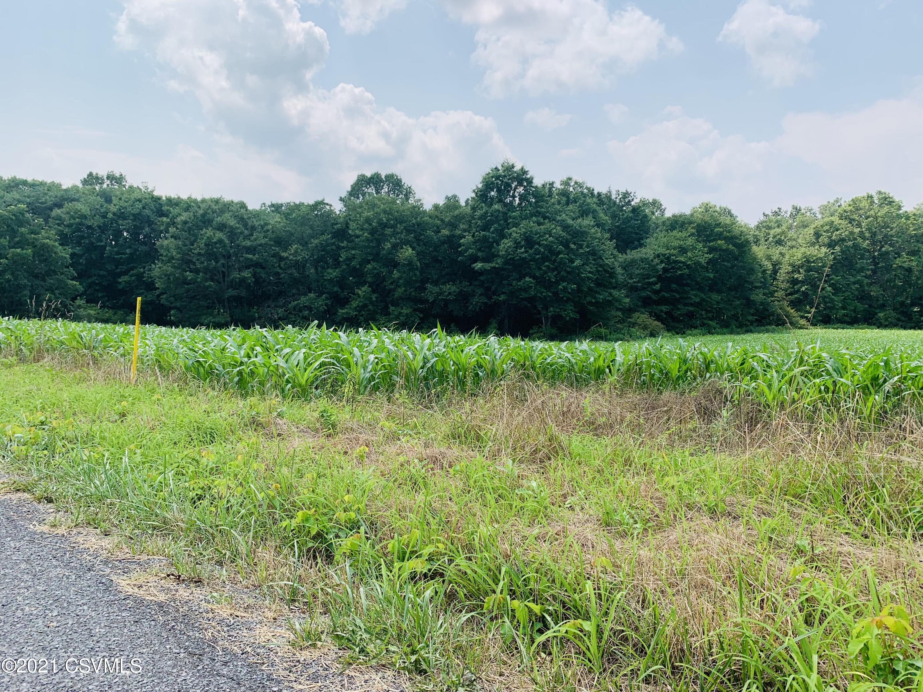 Kratzer Road Sunbury, PA 17801 - Photo 2 of 2 Gallery Image 2