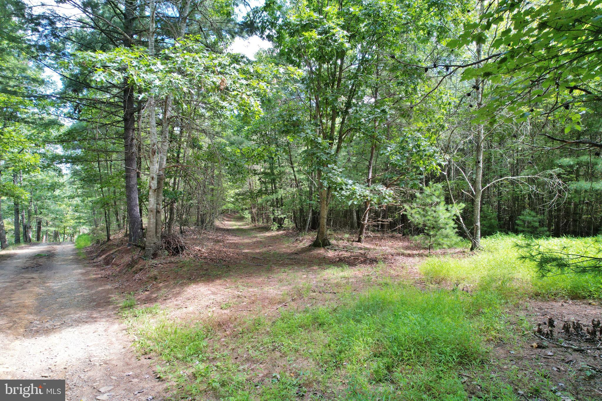 Alum Springs Road Edinburg, VA 22824 - Photo 15 of 20