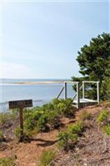 805 Chequessett Neck Road Wellfleet, MA 02667 - Photo 28 of 31 a backyard of a house with plants and trees