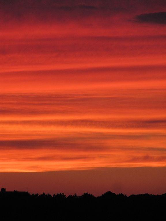 805 Chequessett Neck Road Wellfleet, MA 02667 - Photo 31 of 31 a view of sunset
