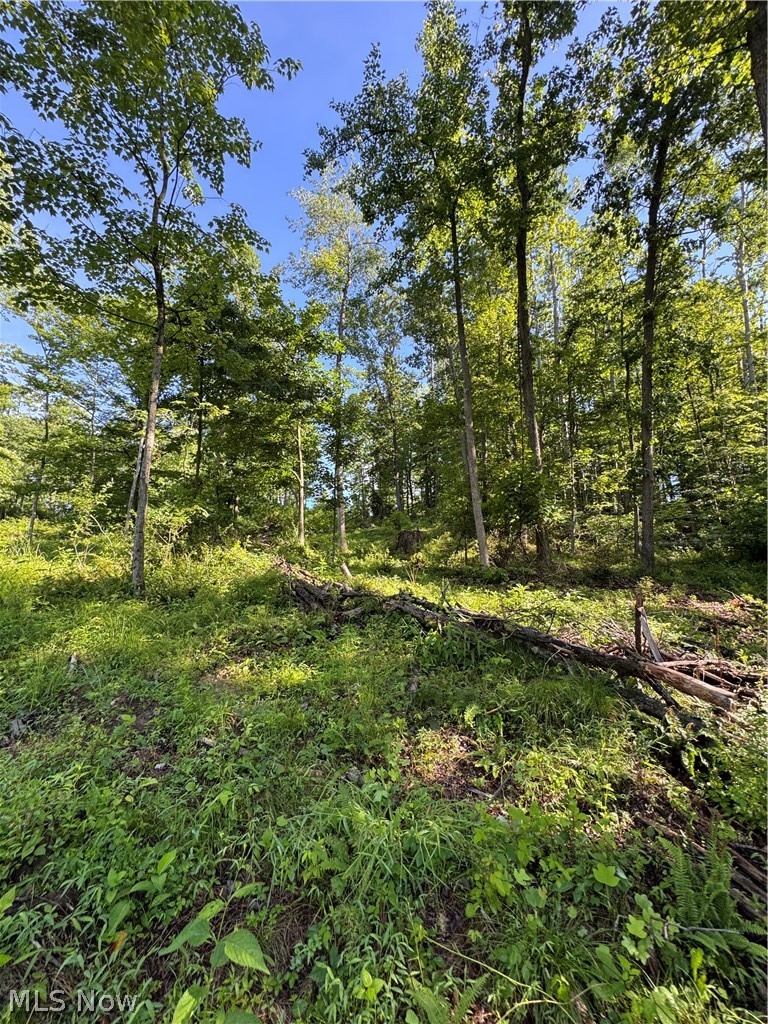 Stone Quarry Road Danville, OH 43014 - Photo 39 of 50