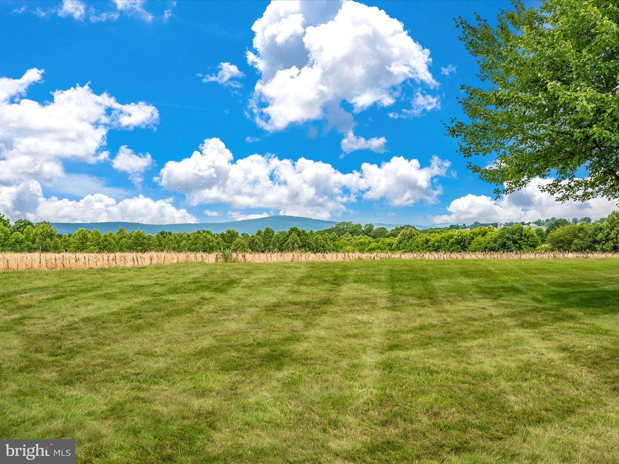2280 Gapland Road Jefferson, MD 21755 - Photo 51 of 62 Exterior Back