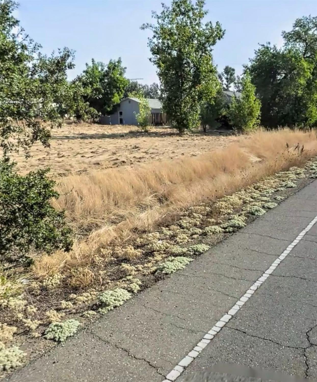 0 Lower Honcut Road Oroville, CA 95966 - Photo 2 of 6
