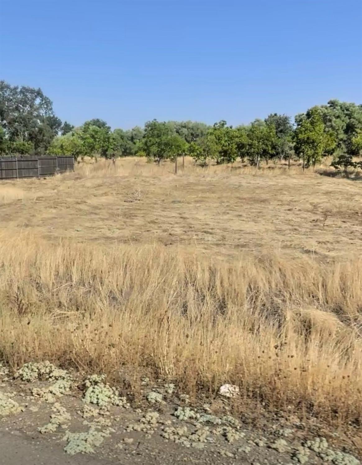 0 Lower Honcut Road Oroville, CA 95966 - Photo 3 of 6