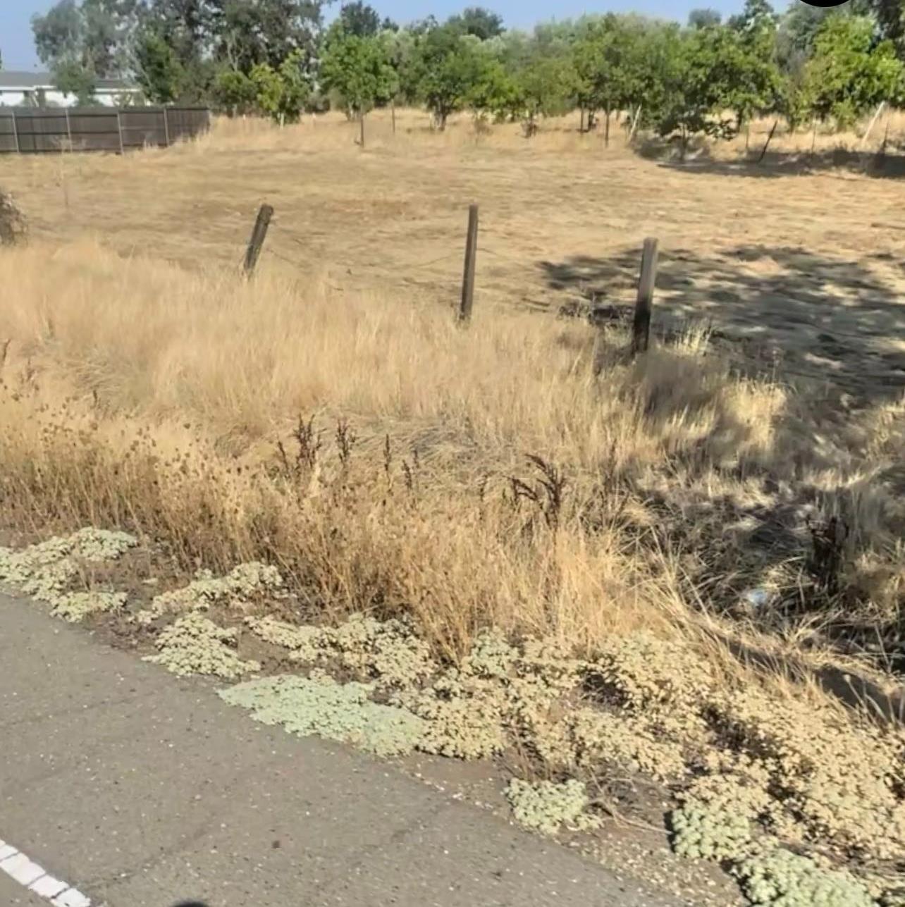 0 Lower Honcut Road Oroville, CA 95966 - Photo 5 of 6
