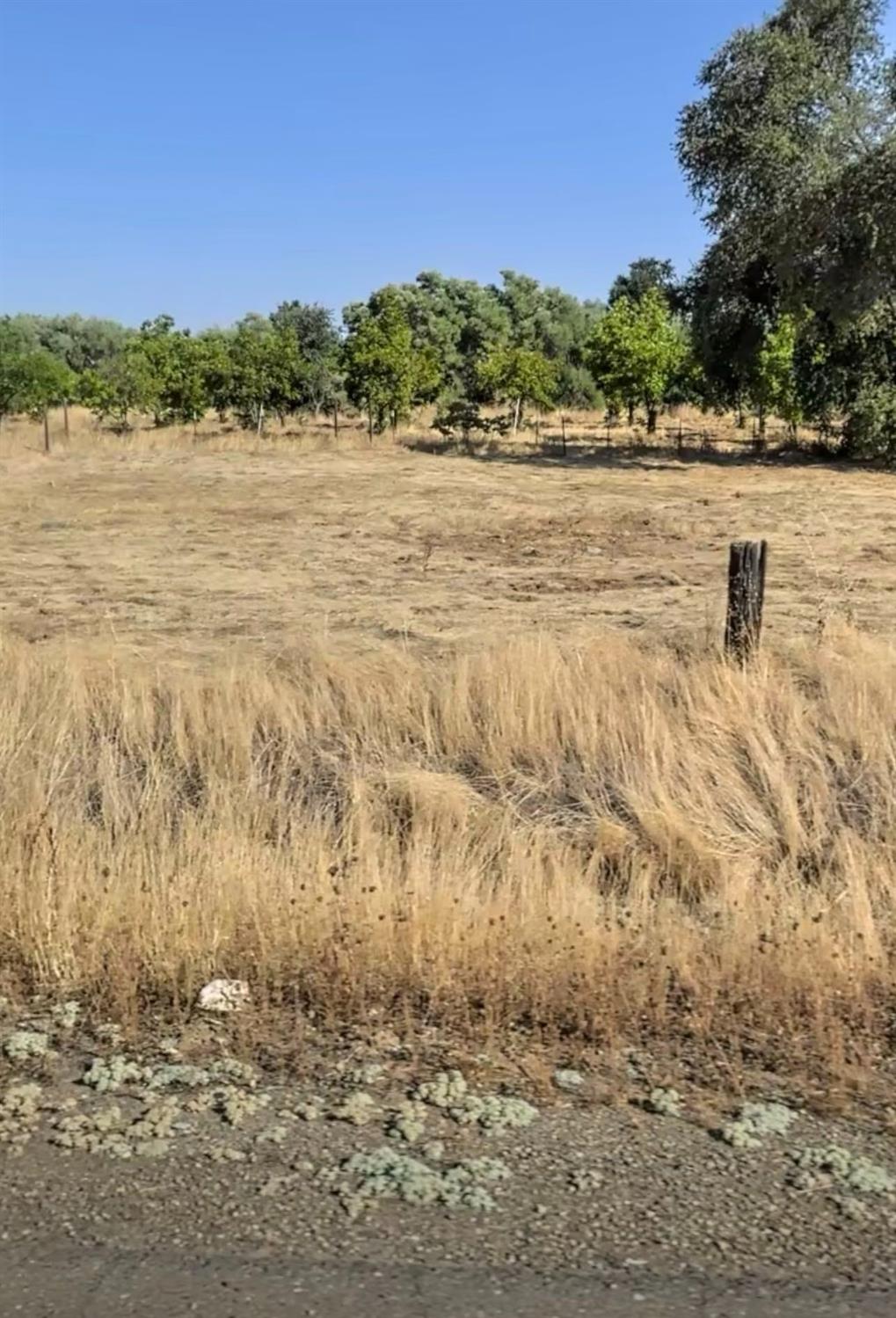0 Lower Honcut Road Oroville, CA 95966 - Photo 6 of 6
