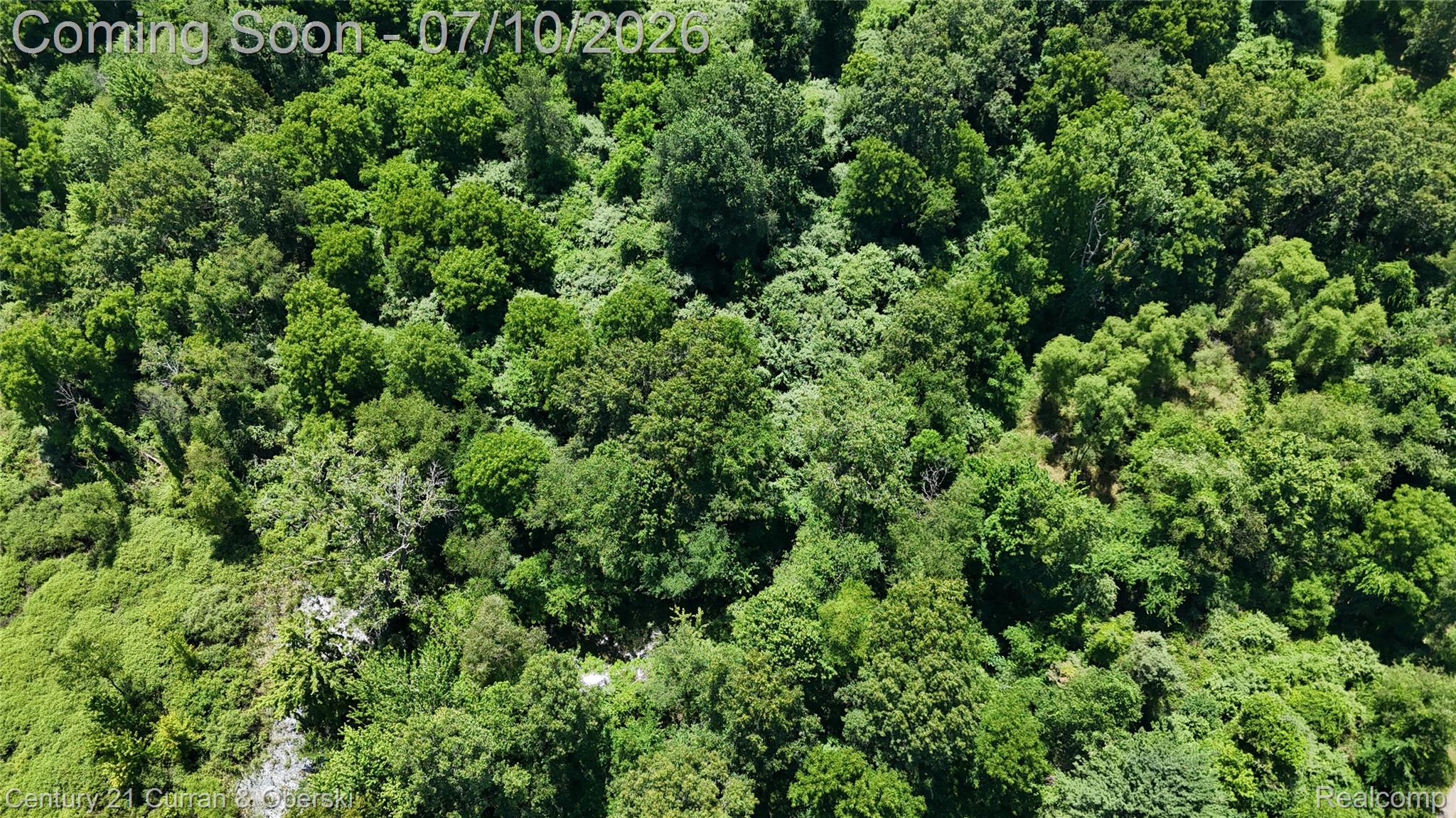 13505 Island Lake Road Chelsea, MI 48118 - Photo 10 of 23 DJI_20260703133527_0183_D.JPG