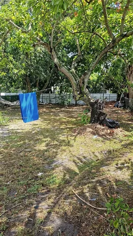 a view of a back yard