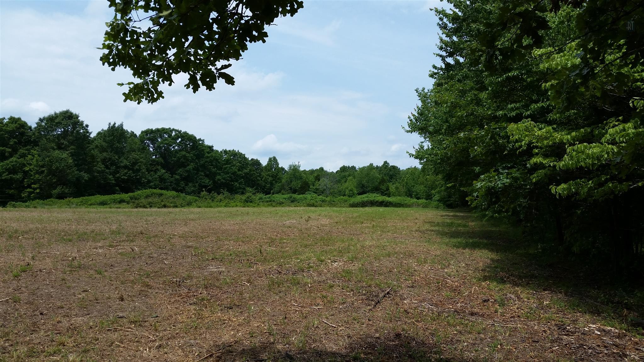 5 Caney Fork Road Fairview, TN 37062 - Photo 4 of 7 a view of an outdoor space with a lake view