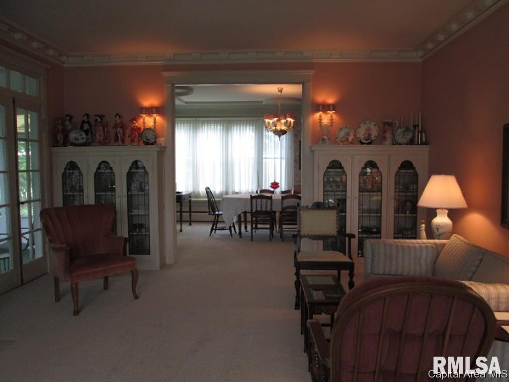 1437 Perbix Road Chapin, IL 62628 - Photo 11 of 32