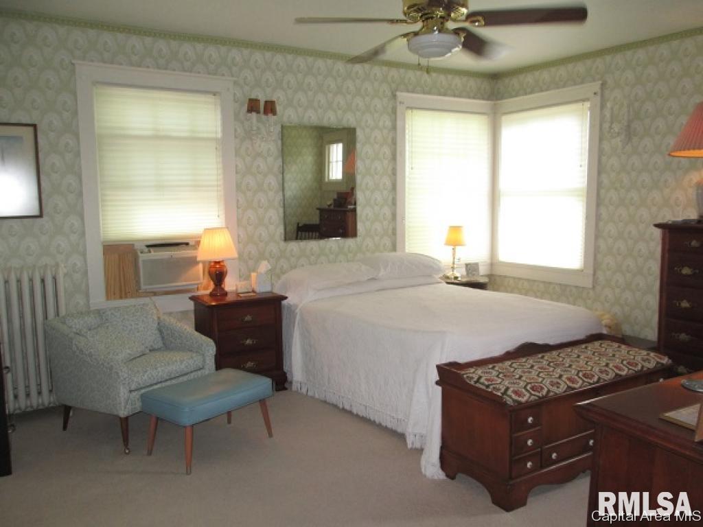 1437 Perbix Road Chapin, IL 62628 - Photo 17 of 32