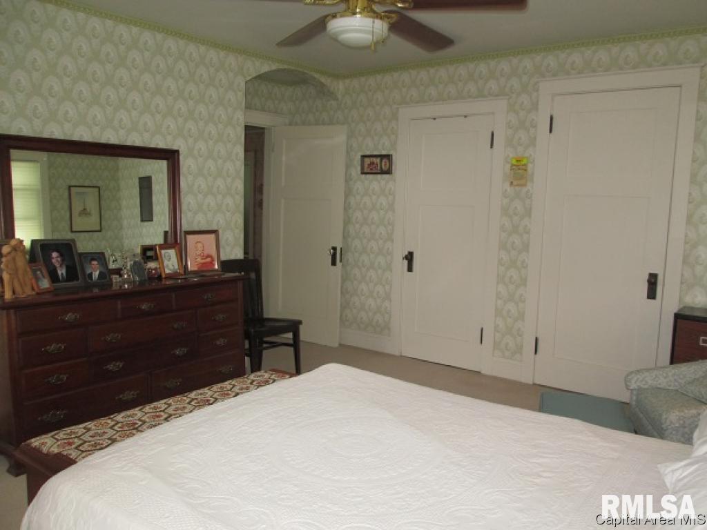 1437 Perbix Road Chapin, IL 62628 - Photo 18 of 32