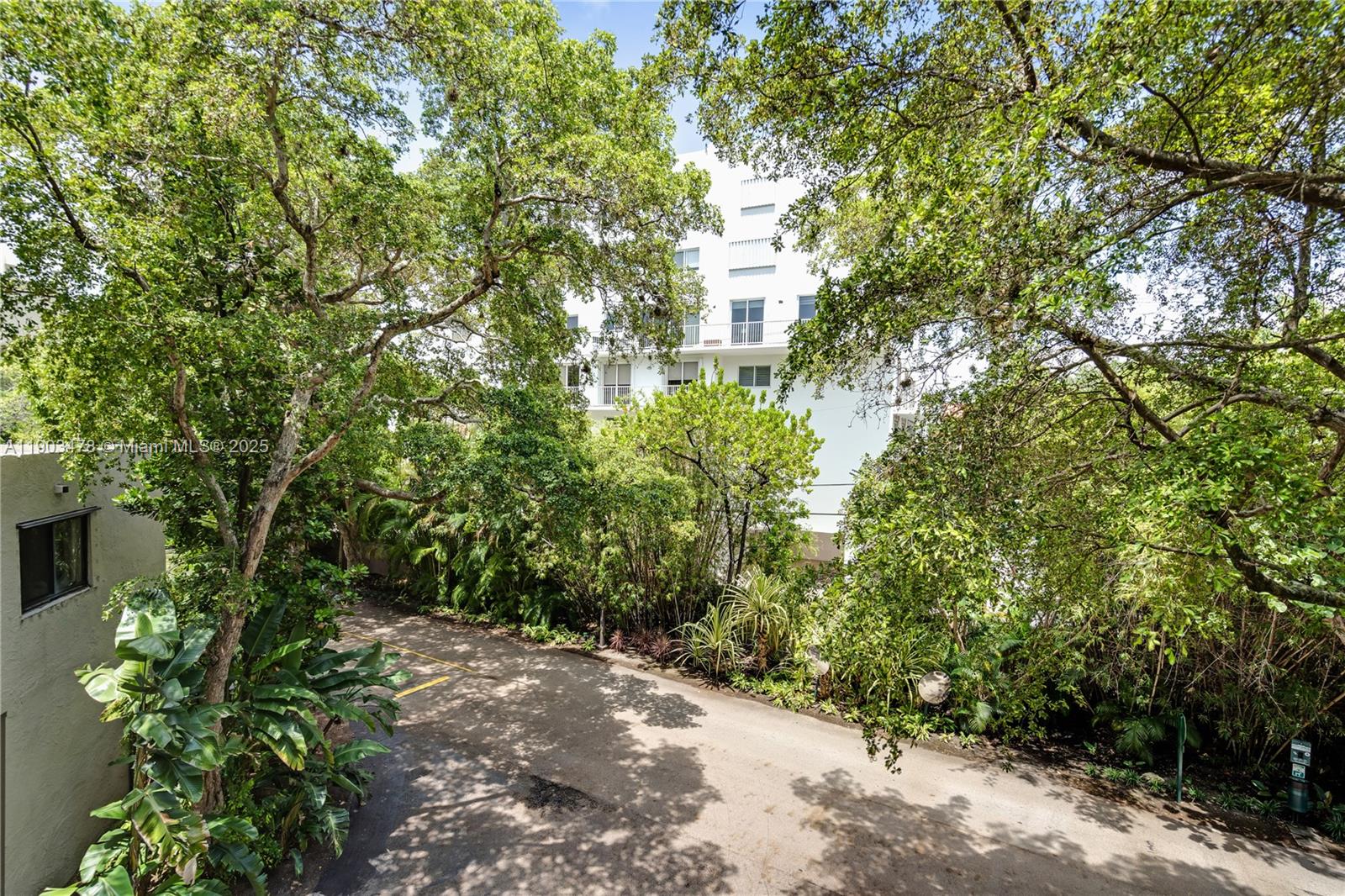 141 Crandon Boulevard, Unit 242 Key Biscayne, FL 33149 - Photo 31 of 42 a view of a yard with plants and trees