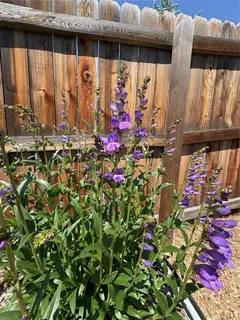 $494,000 | 3160 Westcliff Drive East, Colorado Springs, CO 80906