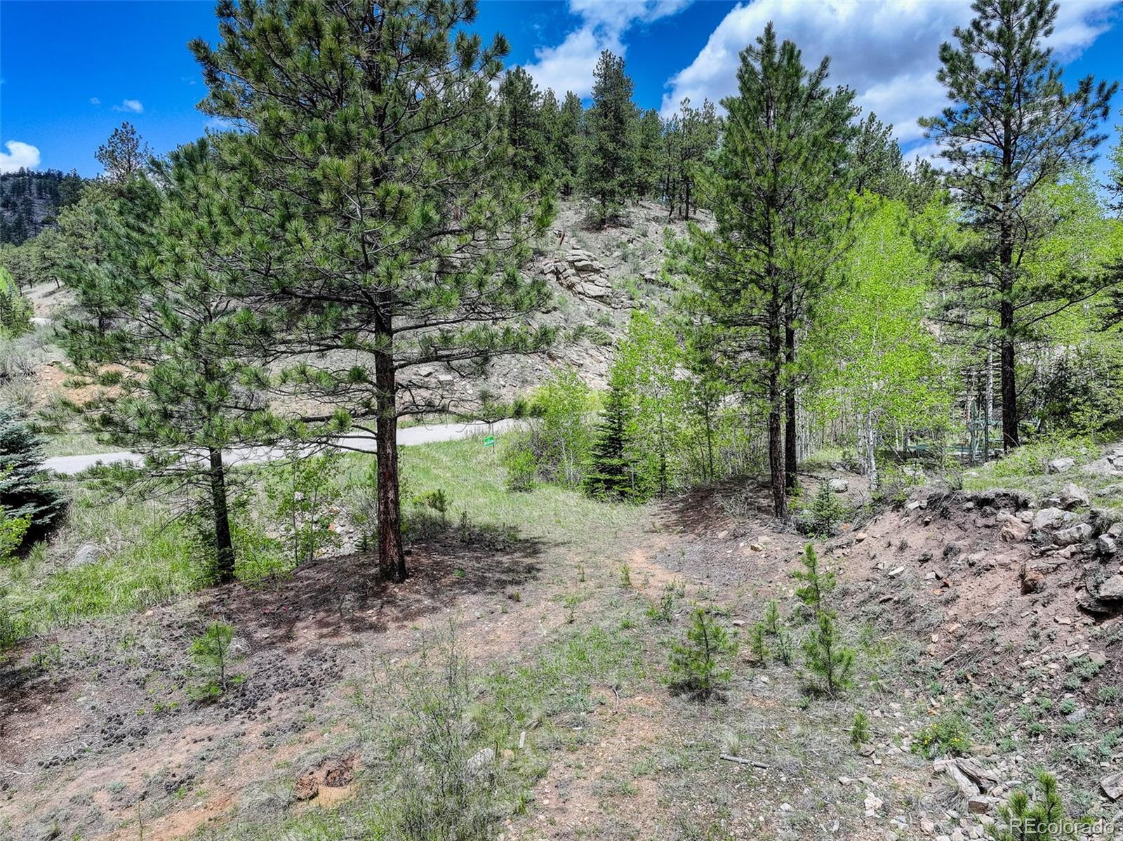 400 Crow Valley Road Bailey, CO 80421 - Photo 18 of 28
