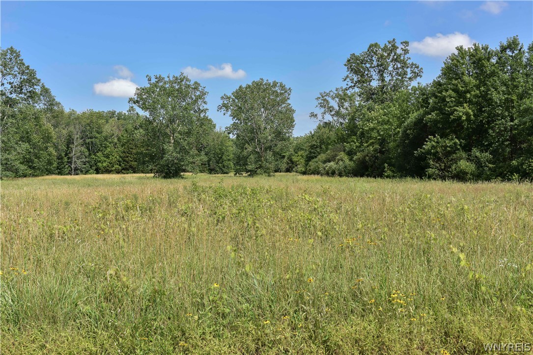V/l Bishop Road Appleton, NY 14008 - Photo 1 of 1