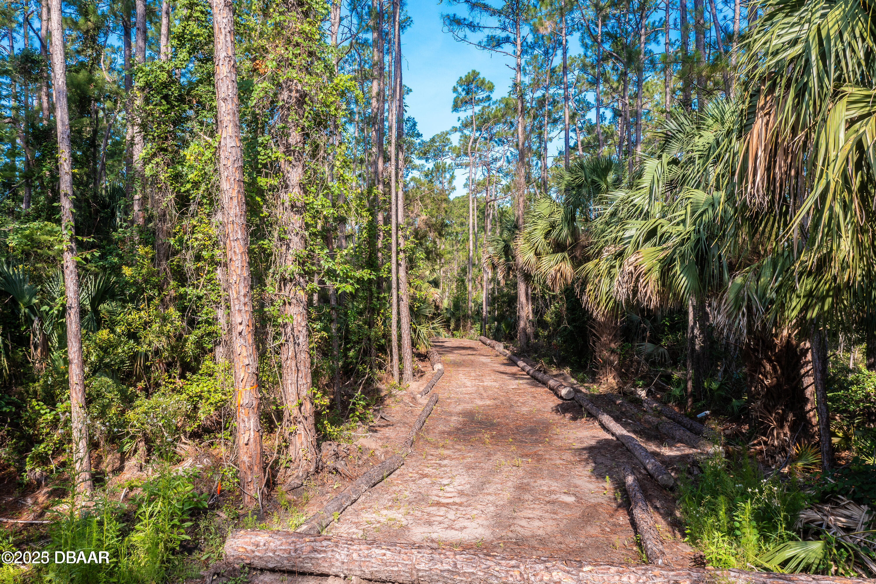 7 Remington Road Ormond Beach, FL 32174 - Photo 1 of 15 7 Remington Entrance