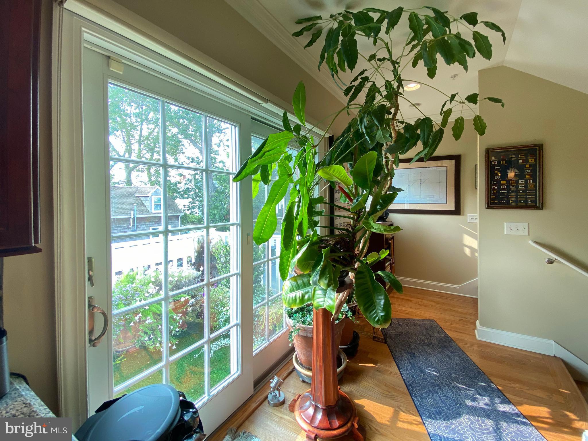 117 B Savannah Road Lewes, DE 19958 - Photo 29 of 60 Gallery Image 29