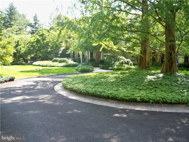 108 Cathcart Road Ambler, PA 19002 - Photo 6 of 25 Driveway