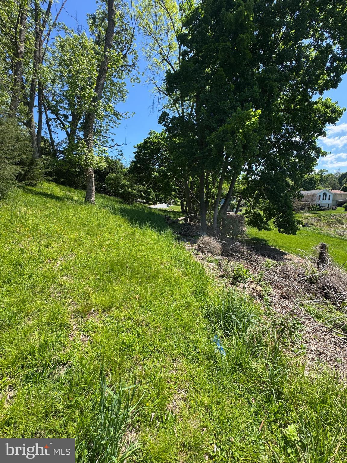 0 Cedar Top Road Reading, PA 19607 - Photo 2 of 5 a view of a garden with a tree