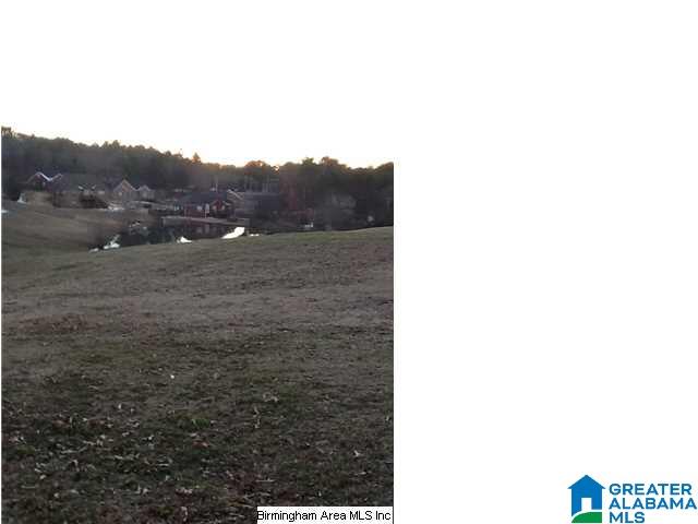 8810 Stemley Road Talladega, AL 35160 - Photo 23 of 32