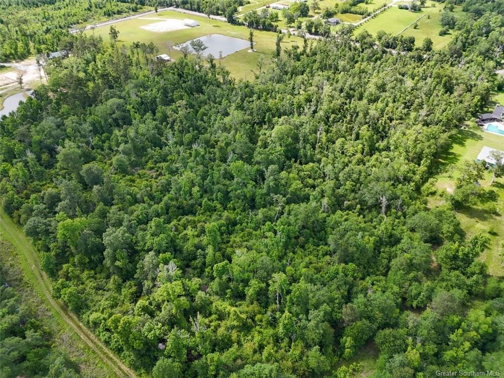 0 Chaisson Road Lake Charles, LA 70615 - Photo 9 of 9