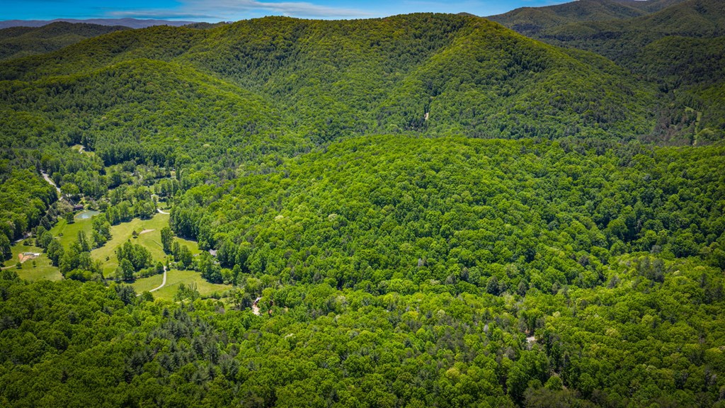 2100 Big Creek Road Cherry Log, GA 30522 - Photo 102 of 148 a view of a lush green forest with a mountain