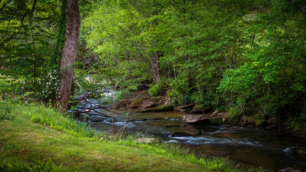 2100 Big Creek Road Cherry Log, GA 30522 - Photo 68 of 148 a backyard of a house with lots of green space