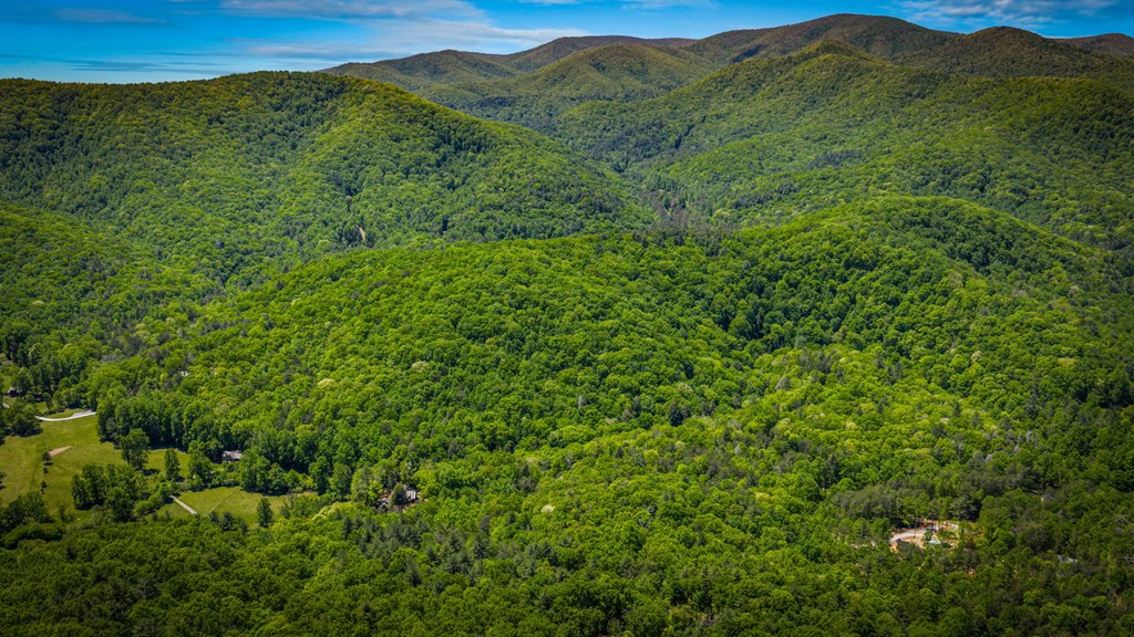 2100 Big Creek Road Cherry Log, GA 30522 - Photo 69 of 148 a view of a lush green hillside and a mountain