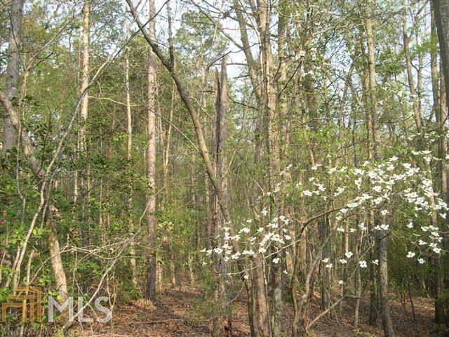 0 Collins Road, Unit 4A Lavonia, GA 30553 - Photo 1 of 1 Gallery Image 1