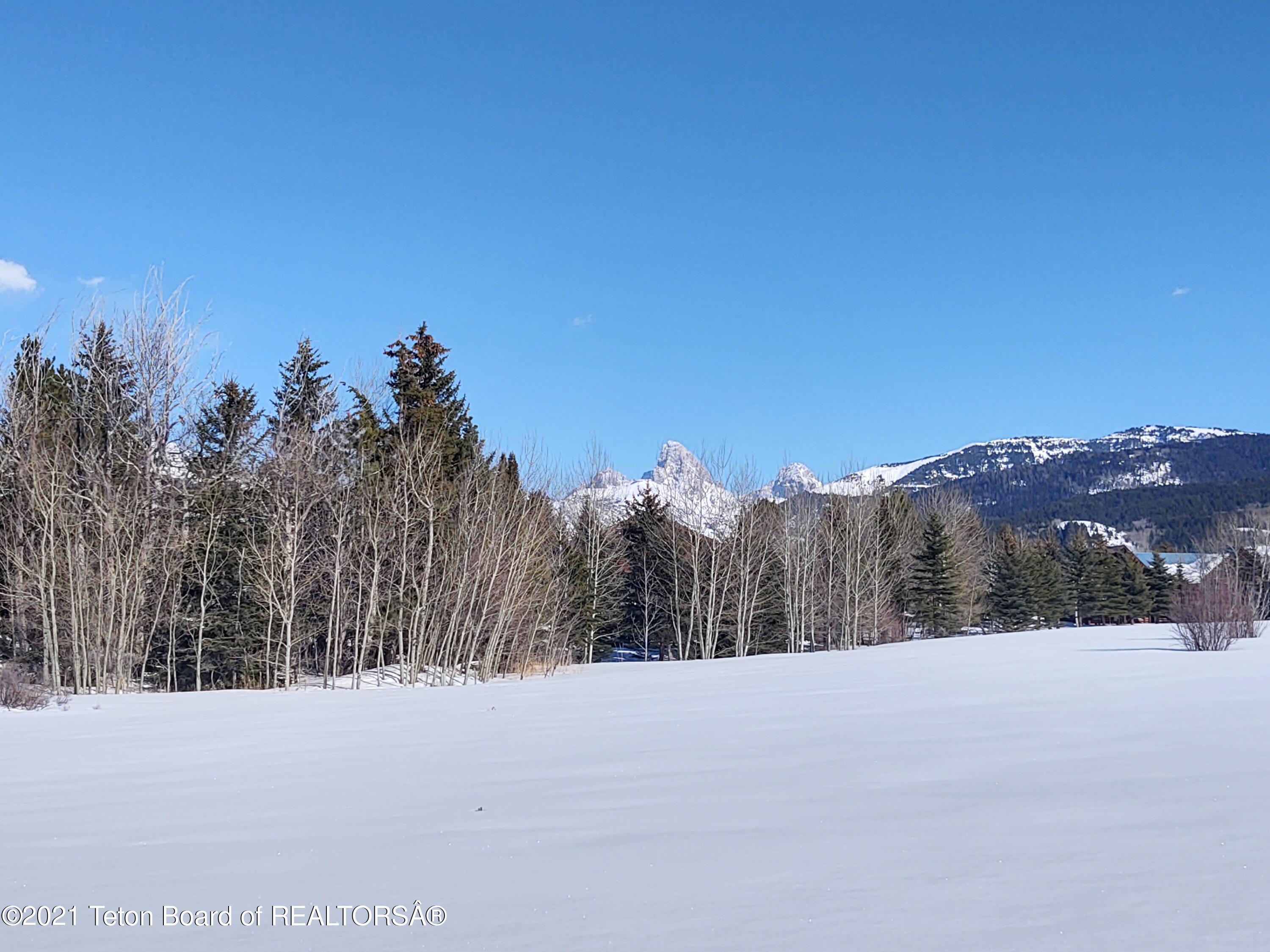 445 Targhee Towne Road Alta, WY 83414 - Photo 4 of 16 SE Teton View Winter 2