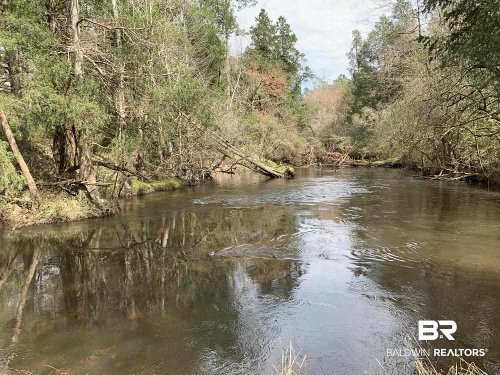 17525 Joe Gottler Road Elberta, AL 36530 - Photo 19 of 44
