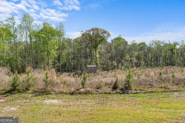 $749,900 | 60 Tucker Road, Claxton, GA 30417