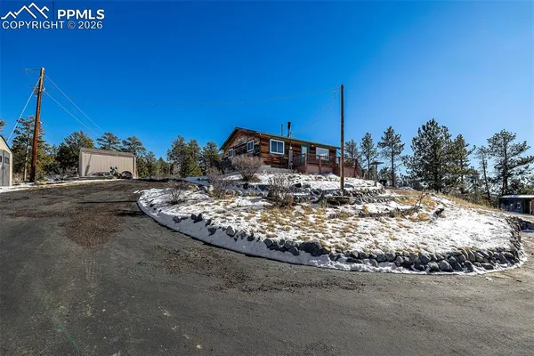 a tall tree sitting in front of a building