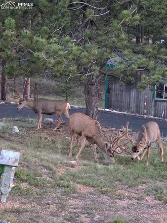 a view of a backyard with plants and outdoor seating