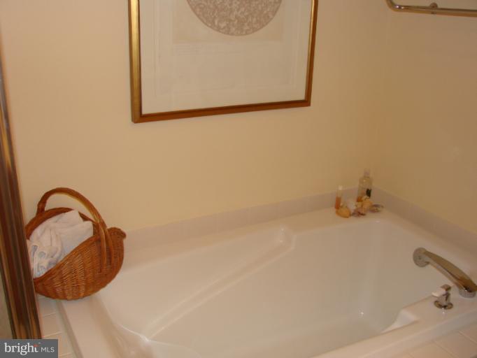 2205 Bear Den Road Frederick, MD 21701 - Photo 17 of 19 a bathroom with a shower