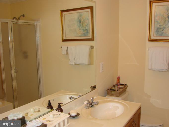 2205 Bear Den Road Frederick, MD 21701 - Photo 7 of 19 a bathroom with a sink and a mirror