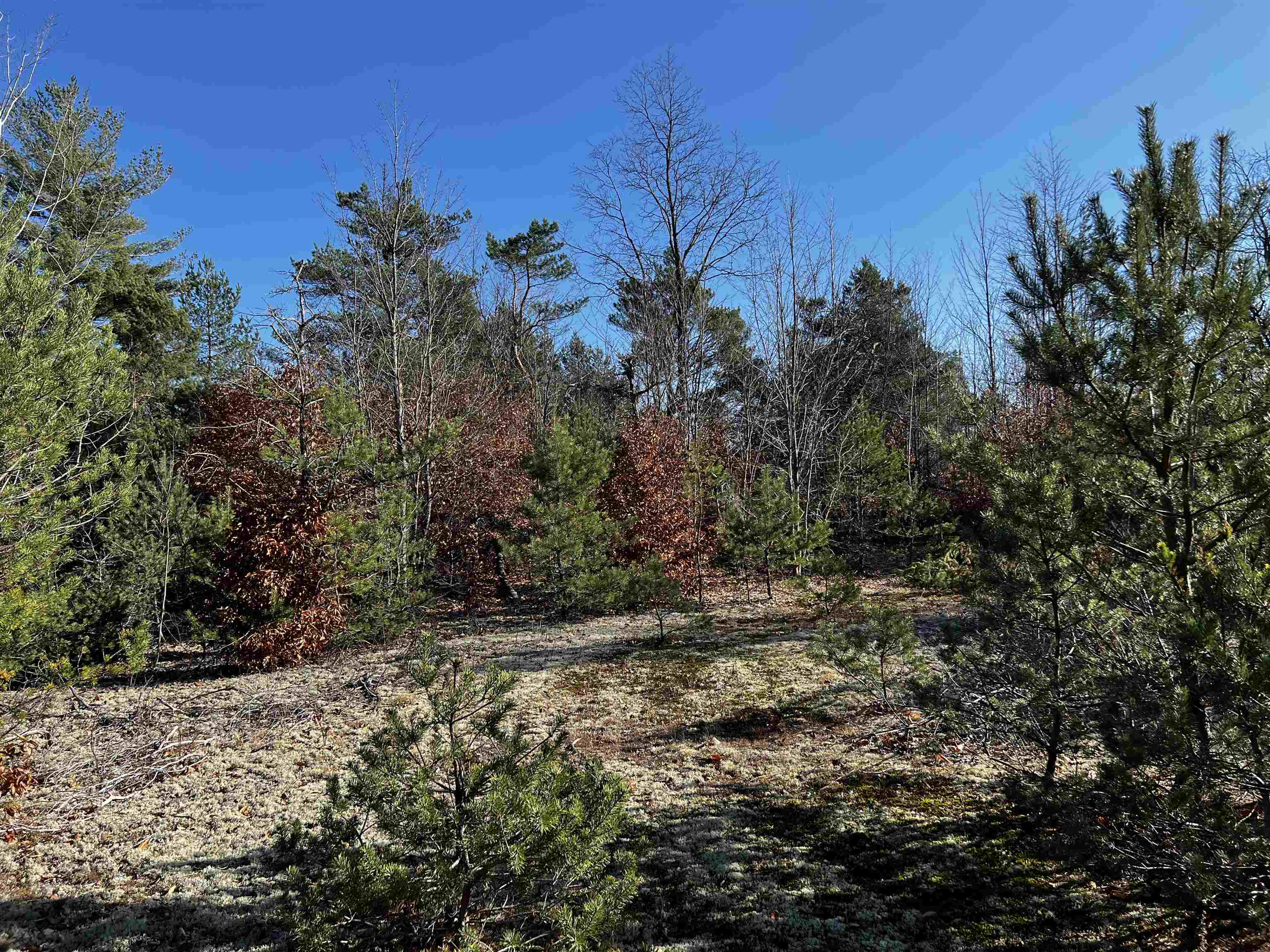 County Line Road Mancelona, MI 49659 - Photo 22 of 26 Gallery Image 22