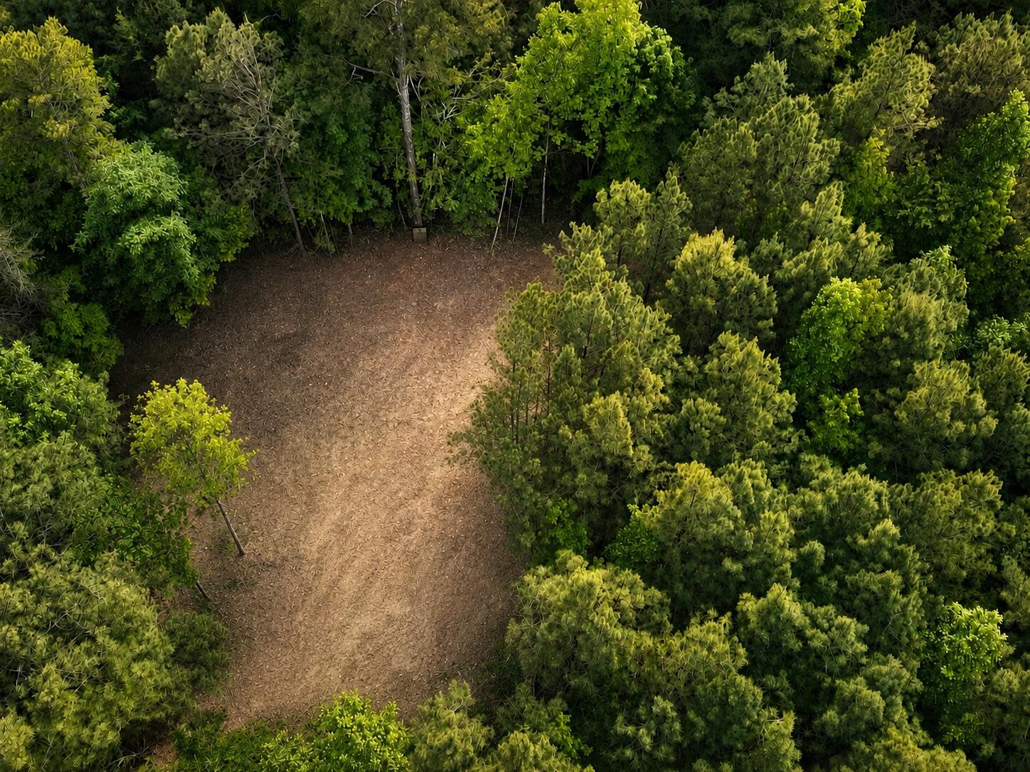 1 Southeast Washboard Road Southeast Old Fort, TN 37362 - Photo 2 of 10 an aerial view of a forest with houses