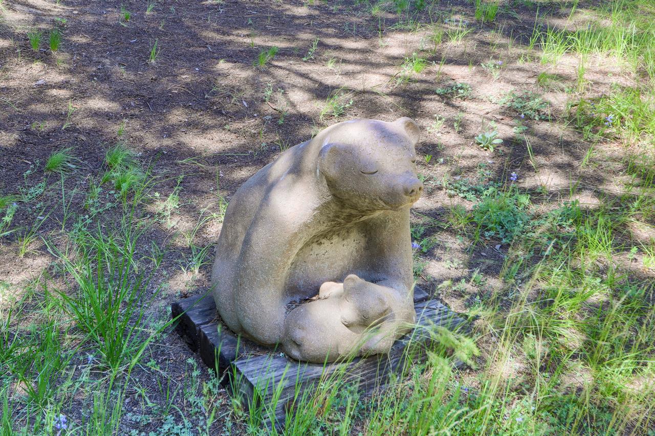 8067 Chilnualna Falls Road Wawona, CA 95389 - Photo 33 of 42 a view of a backyard