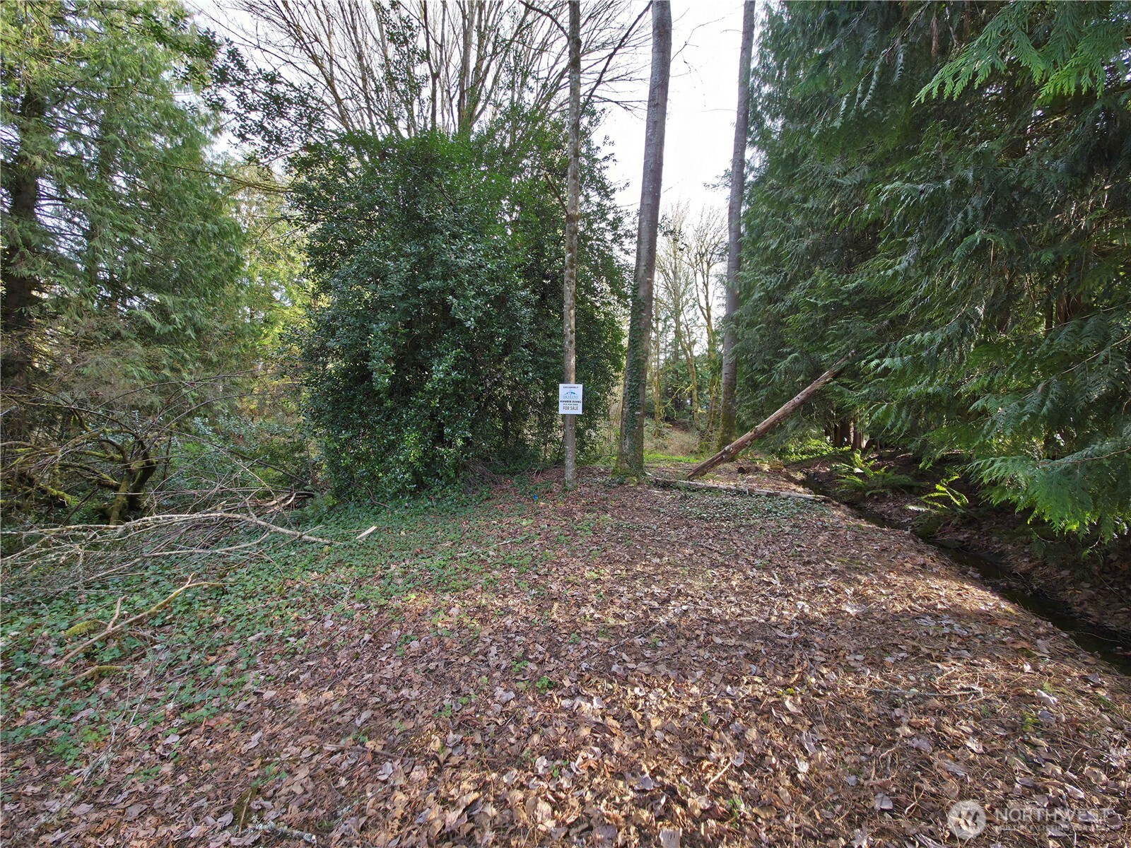 19455 Southeast 168th Street Renton, WA 98058 - Photo 2 of 8 a view of outdoor space and green space