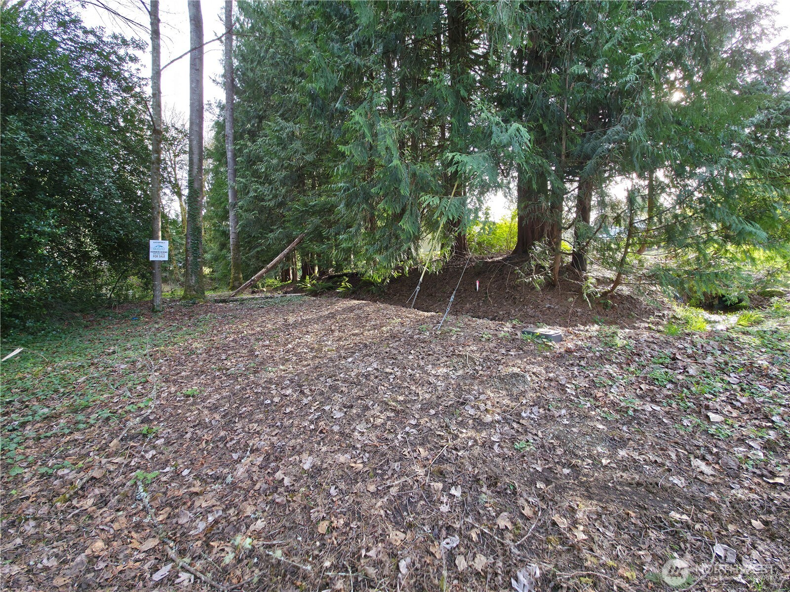 19455 Southeast 168th Street Renton, WA 98058 - Photo 3 of 8 a backyard of a house with lots of green space