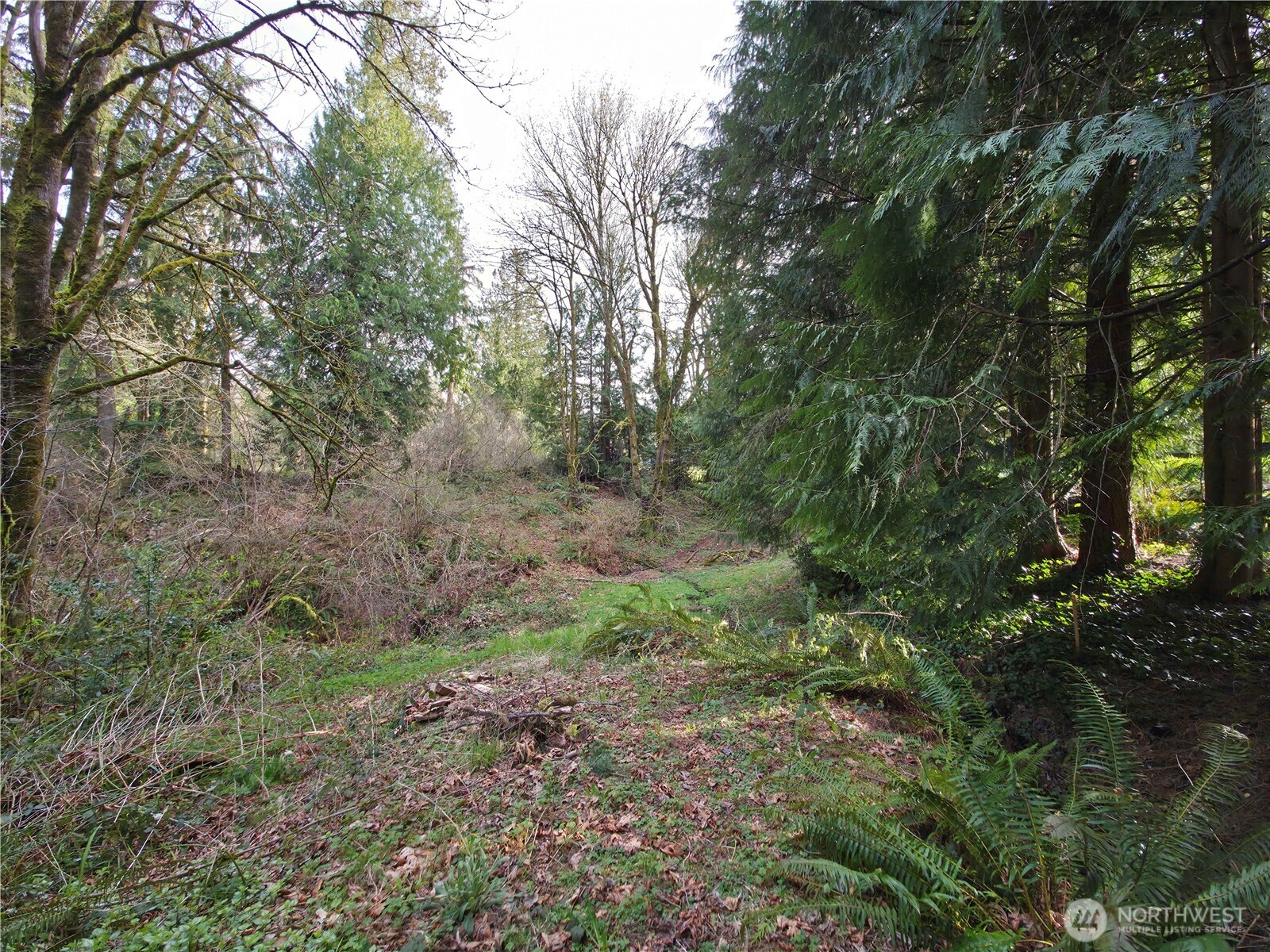 19455 Southeast 168th Street Renton, WA 98058 - Photo 8 of 8 a view of a yard with a tree
