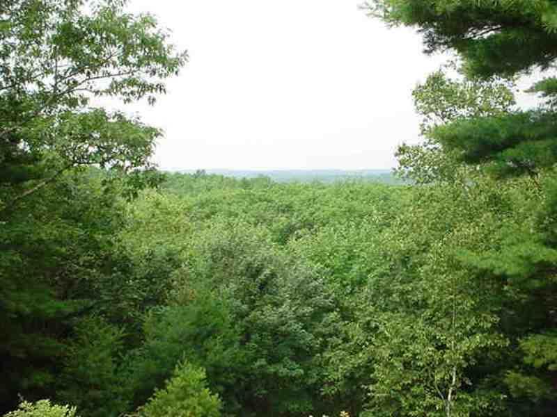 View.