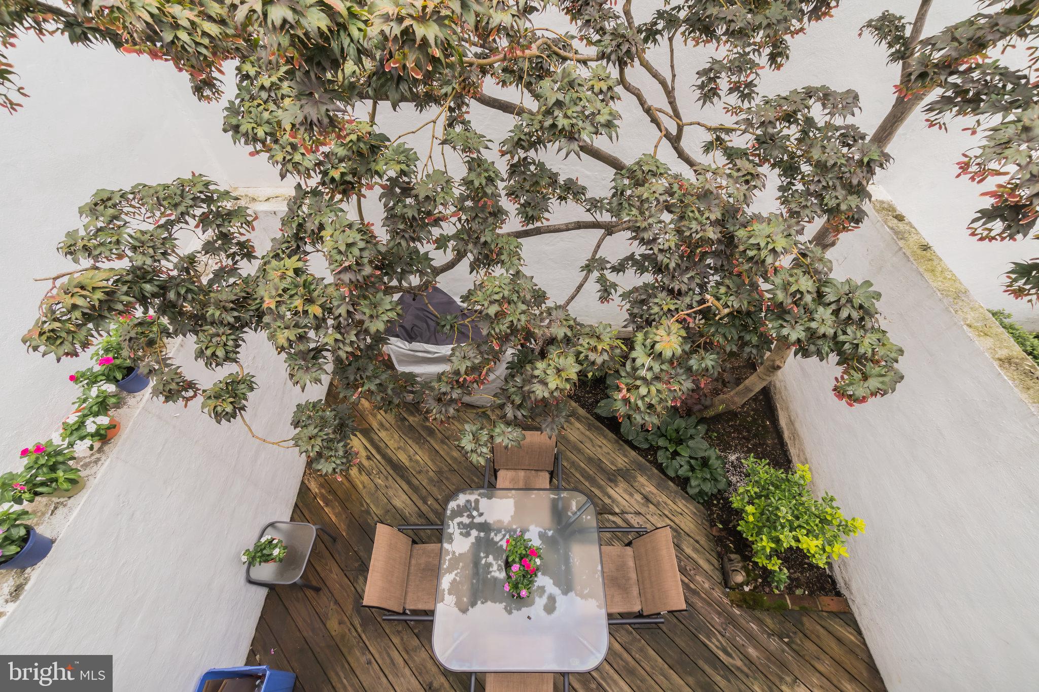 1032 Waverly Street Philadelphia, PA 19147 - Photo 21 of 30 a picture of flowers sitting on a wooden floor