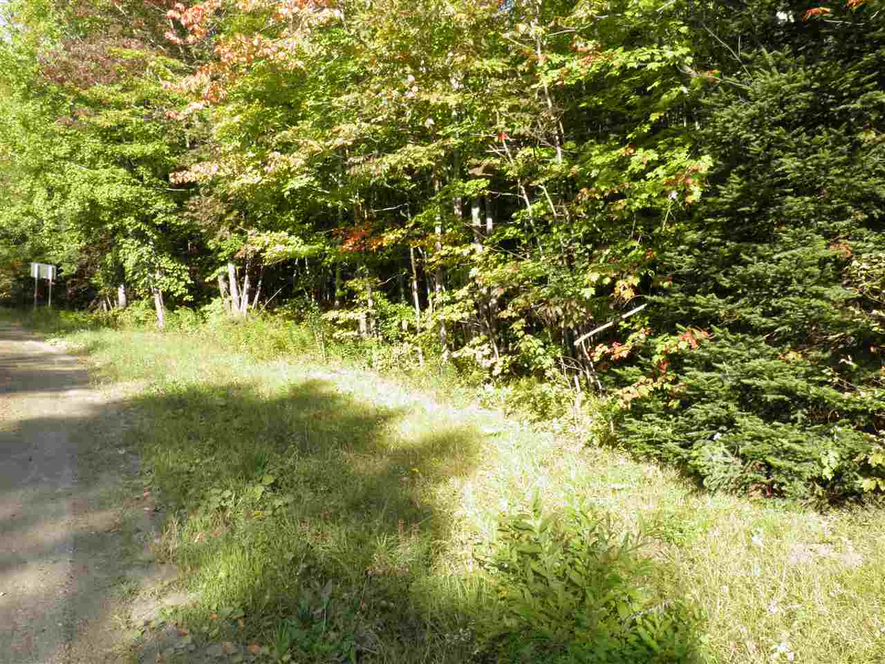 Roxbury Mountain Road, Unit II Roxbury, VT 05669 - Photo 1 of 4