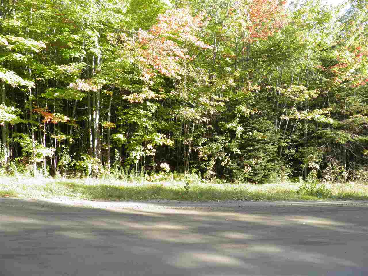 Roxbury Mountain Road, Unit II Roxbury, VT 05669 - Photo 2 of 4